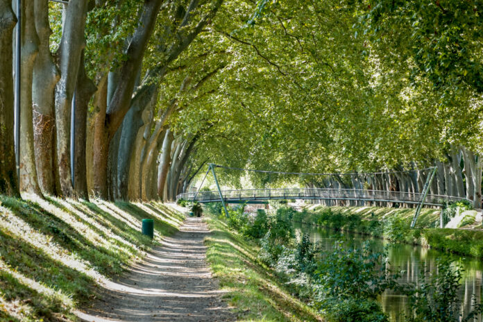 Canal de Brienne at Toulouse