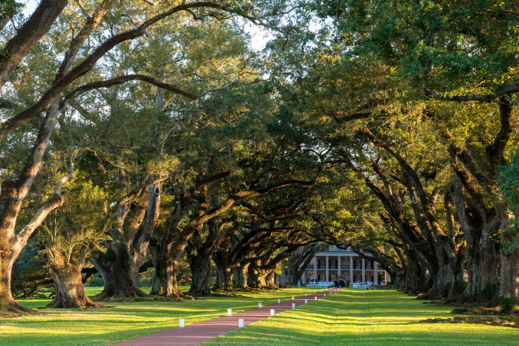 Famous Oak Alley Plantation in Louisiana, USA