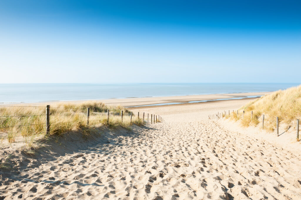 Sandy dunes on the coast of North Sea in Noordwijk, the Netherlands