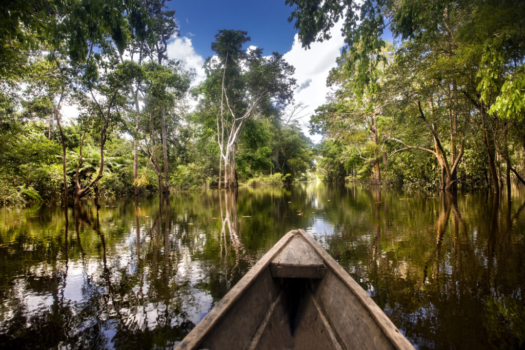Leticia - Amazonas Region - Colombia