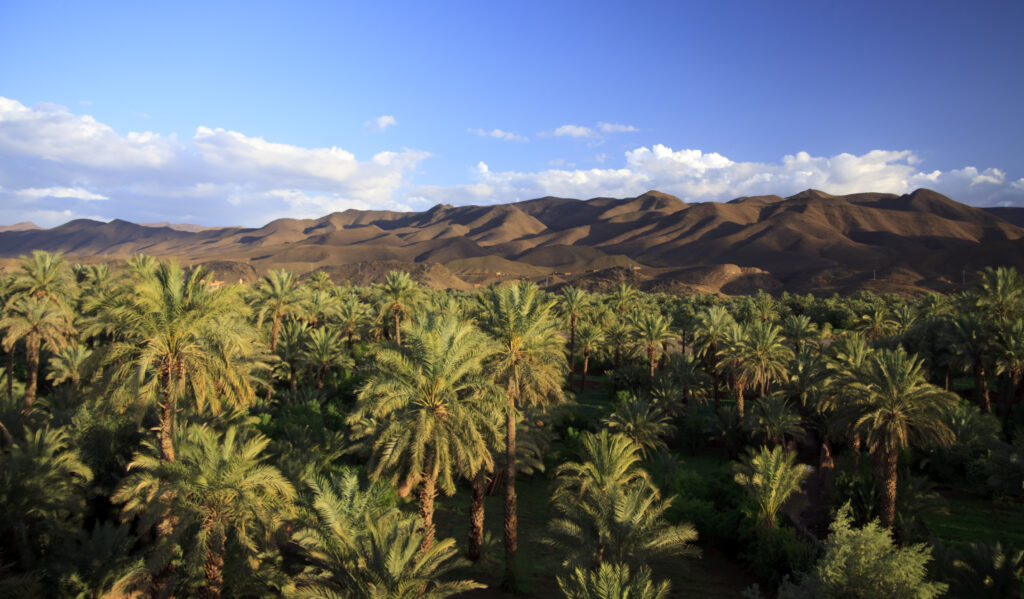 The valley of the river Draa, Morocco, Africa
