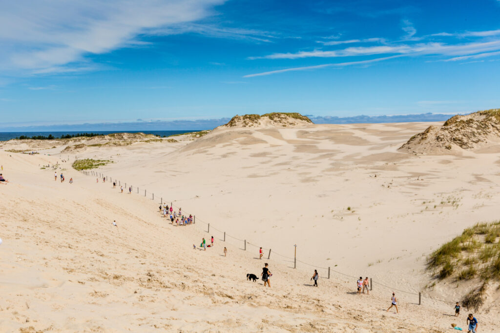 Dunes near Baltic Sea in Leba, Poland