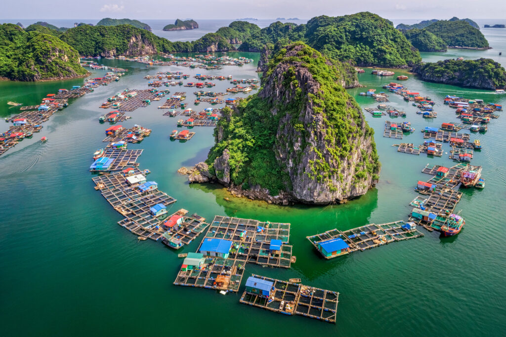 Floating fishing village and rock island in Lan Ha Bay, Vietnam