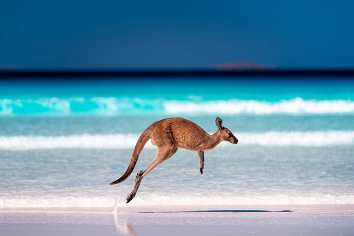 The 20 Most Beautiful Beaches in Australia