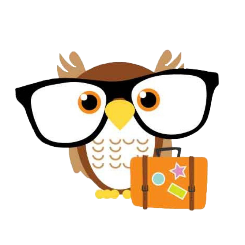 Travel Owl