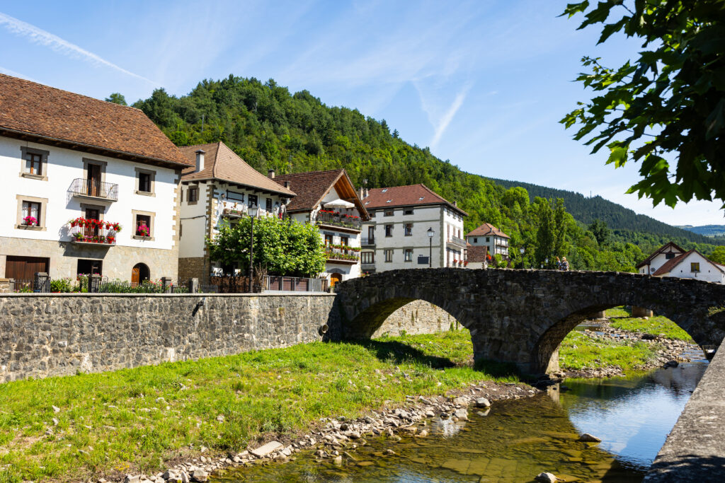 Picturesque village of Ochagavia with three-stored houses and stone bridge