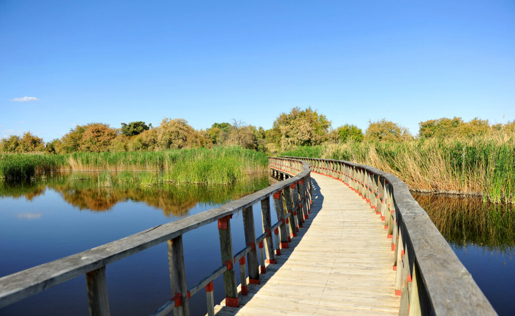 Parque Nacional de las Tablas de Daimiel, provincia de Ciudad Real, Castilla la Mancha