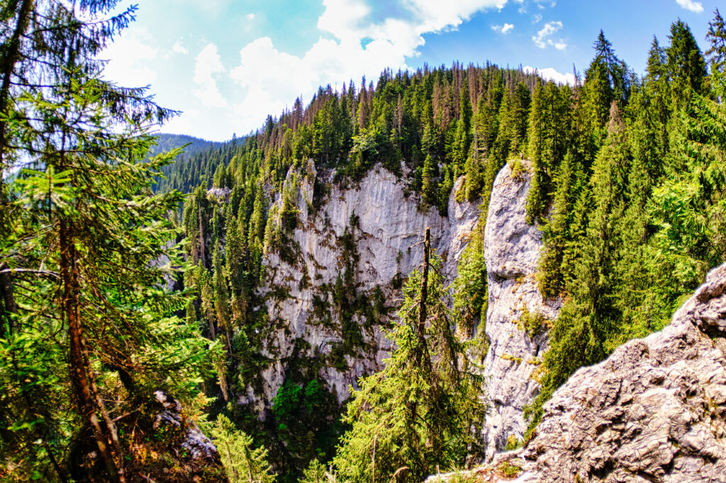 Apuseni Natural Park in Bihor County Romania