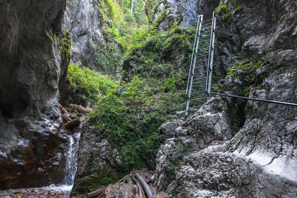 Seven Ladders Canyon (Canionul Sapte Scari), Brasov County, Romania