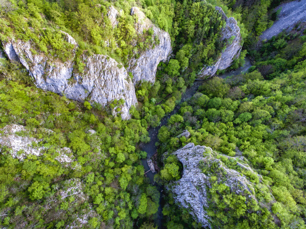 Varghis Gorges in Covasna and Harghita county, Transylvania, Romania