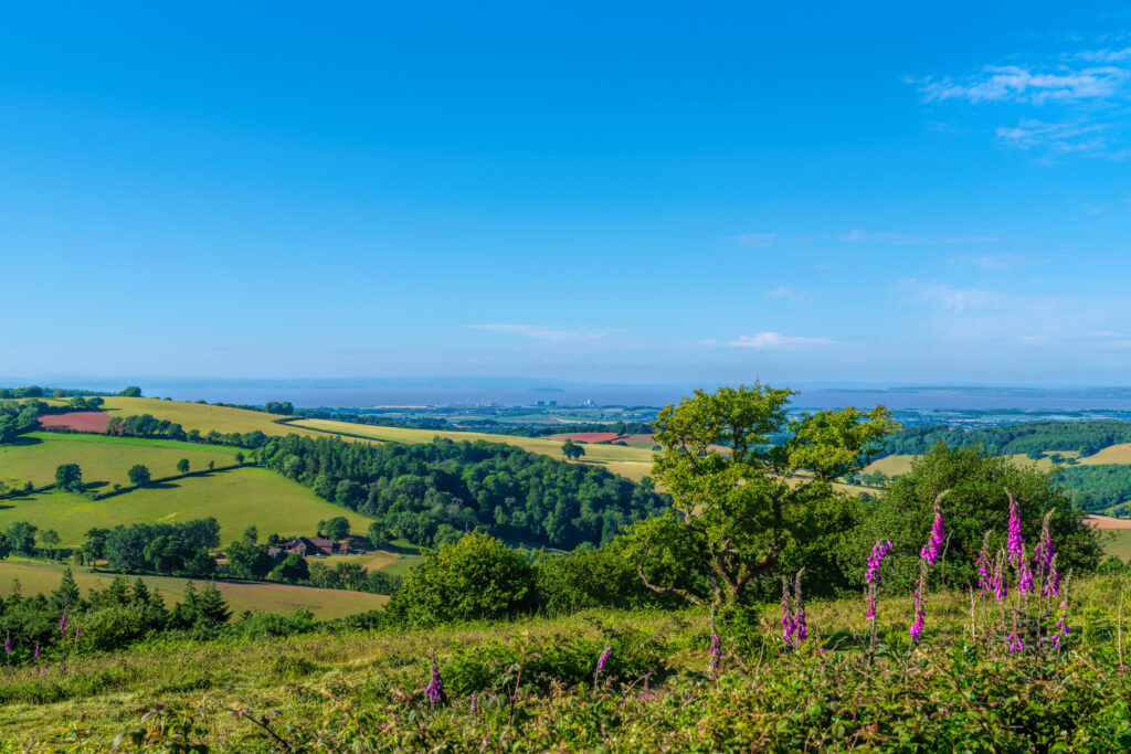 Somerset countryside view to Hinkley Point England UK from the Quantocks