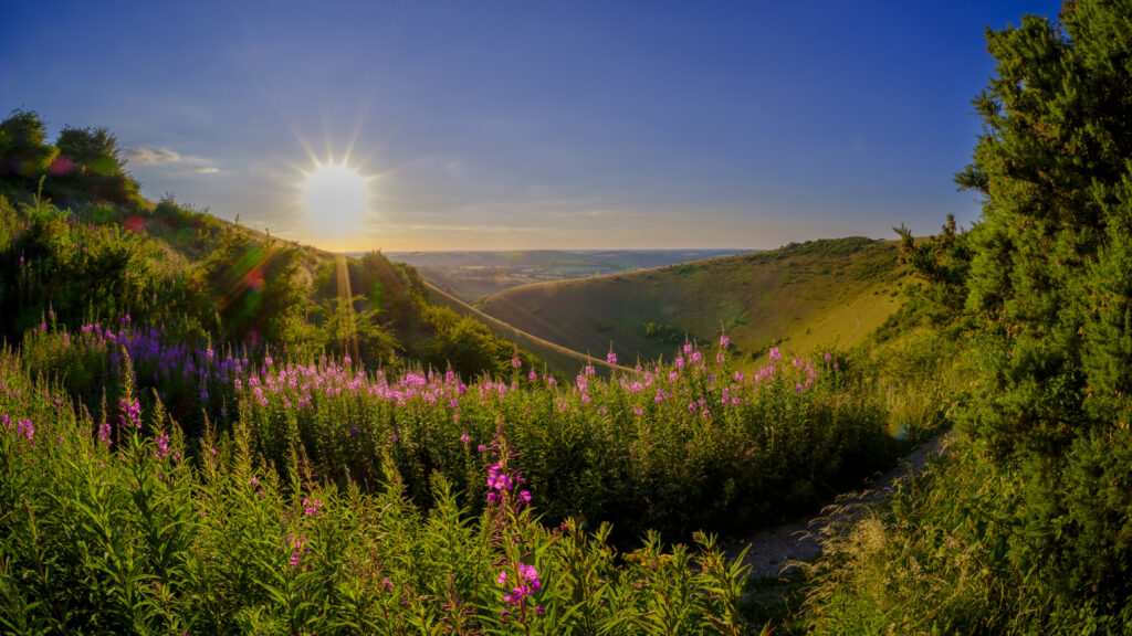 Mid-summer sunset over the Meon Valley from Butser Hill, South Downs National Park, UK