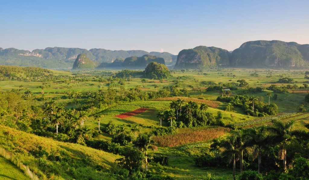 View of fields, mogotes and palms in Vinales Valley, Cuba
