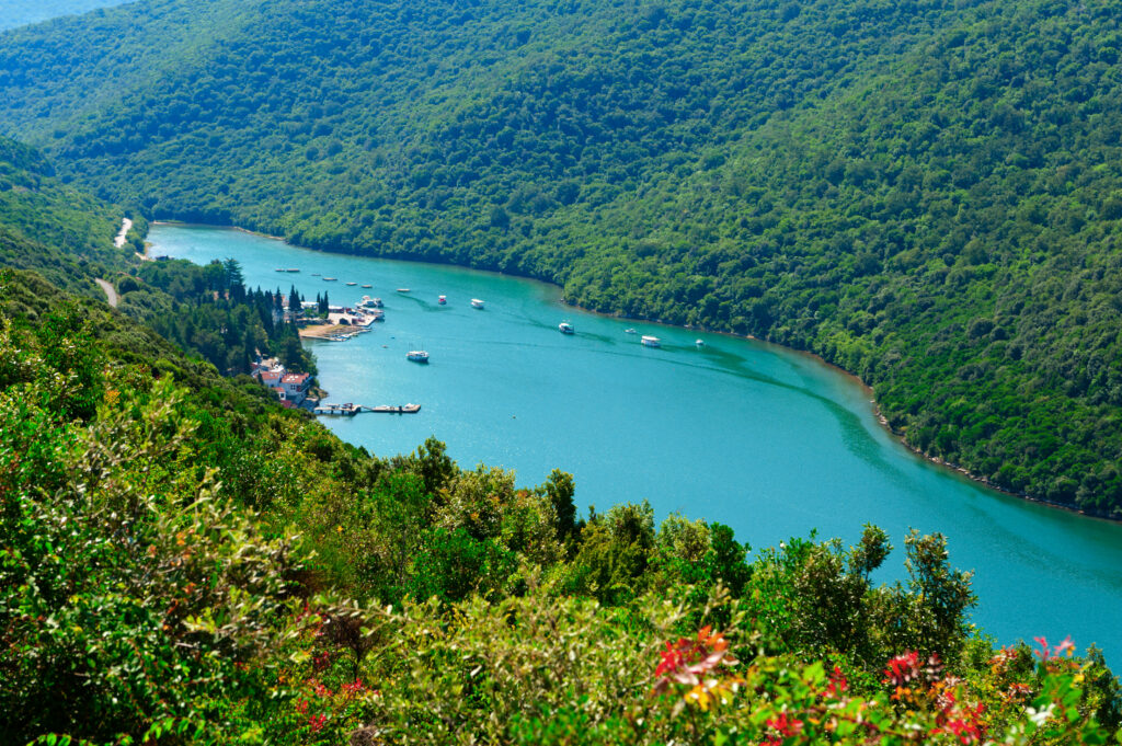 Lim Fjord or Limski canal. Adriatic coast, Croatia
