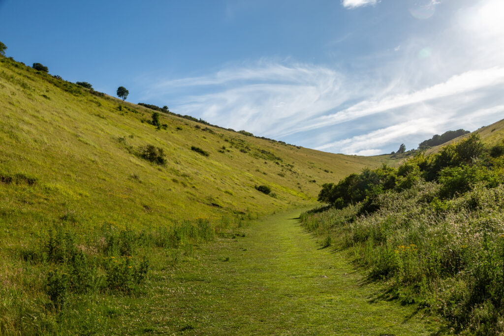 A view from the bottom of Devil`s in West Sussex