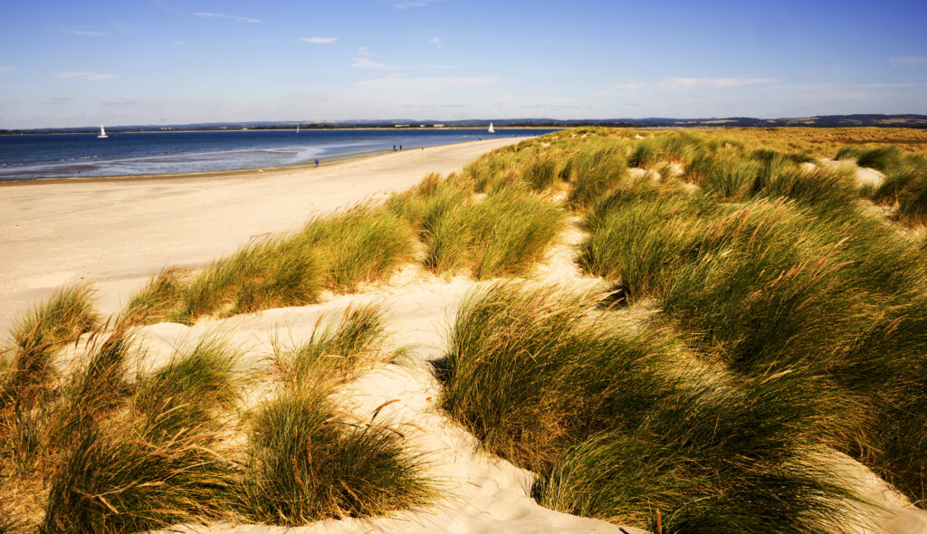 West wittering beach sussex england