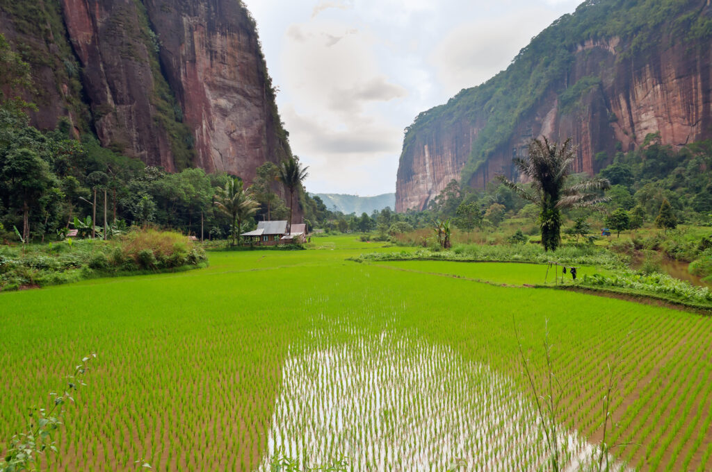 Harau Valley is an area of natural located halfway between Pekanbaru and Bukittinggi, West Sumatra, Indonesia