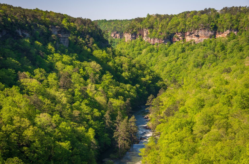 Overlook at Little River Canyon National Preserve