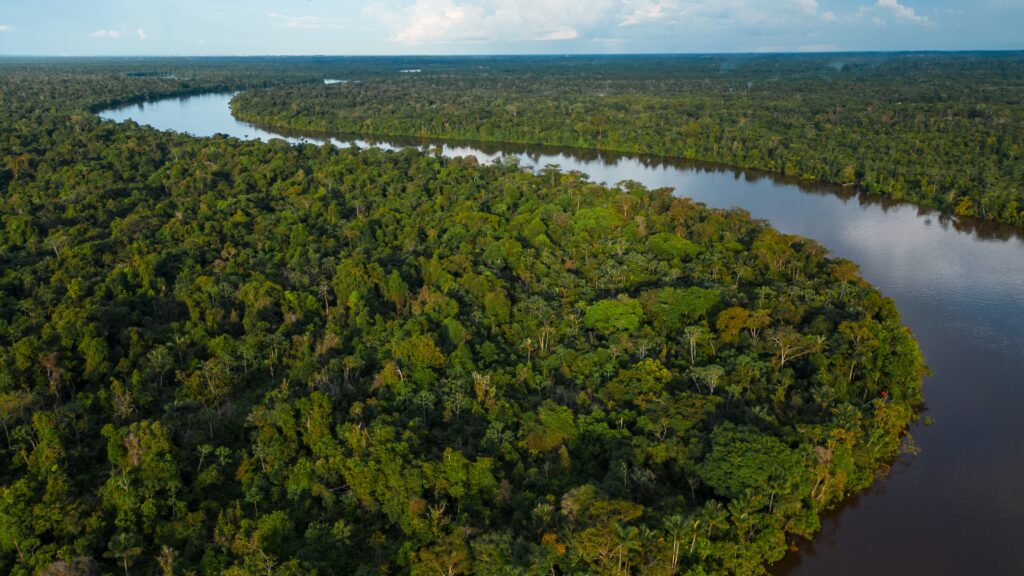 The Nanay River, one of the most important freshwater channels in the Peruvian jungle surrounded by green nature, and is part of the Allpahuayo Mishana Reserve