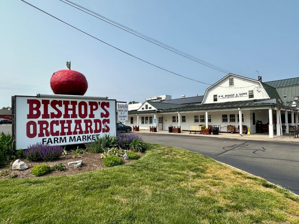 Guilford, Connecticut, USA: View of signs and white barn for Bishop's Orchards market. Shows road that leads to the farm store. B.W. Bishop and Sons: Fruit Growers since 1871.
