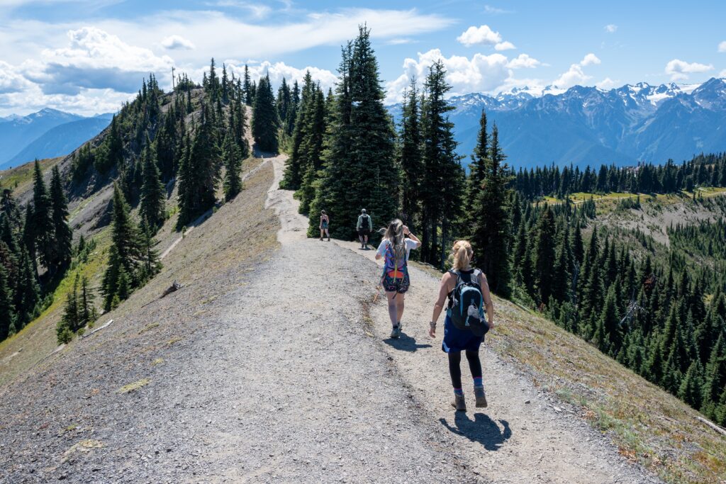 Hikers on Hurricane Ridge trail in Olympic National Park, Washington on sunny summer afternoon.