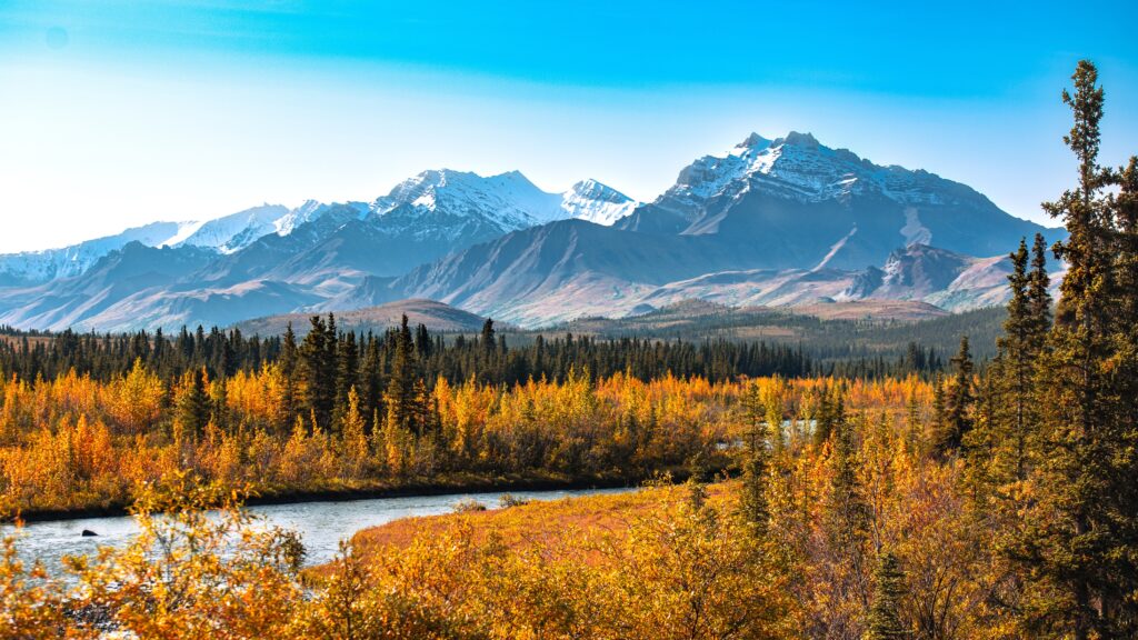 Beautiful viewpoint in the Denali National Park, during the fall season