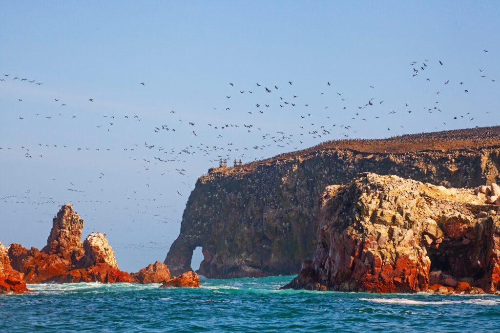 Lots of birds on Ballestas Islands national reserve, Paracas, Peru