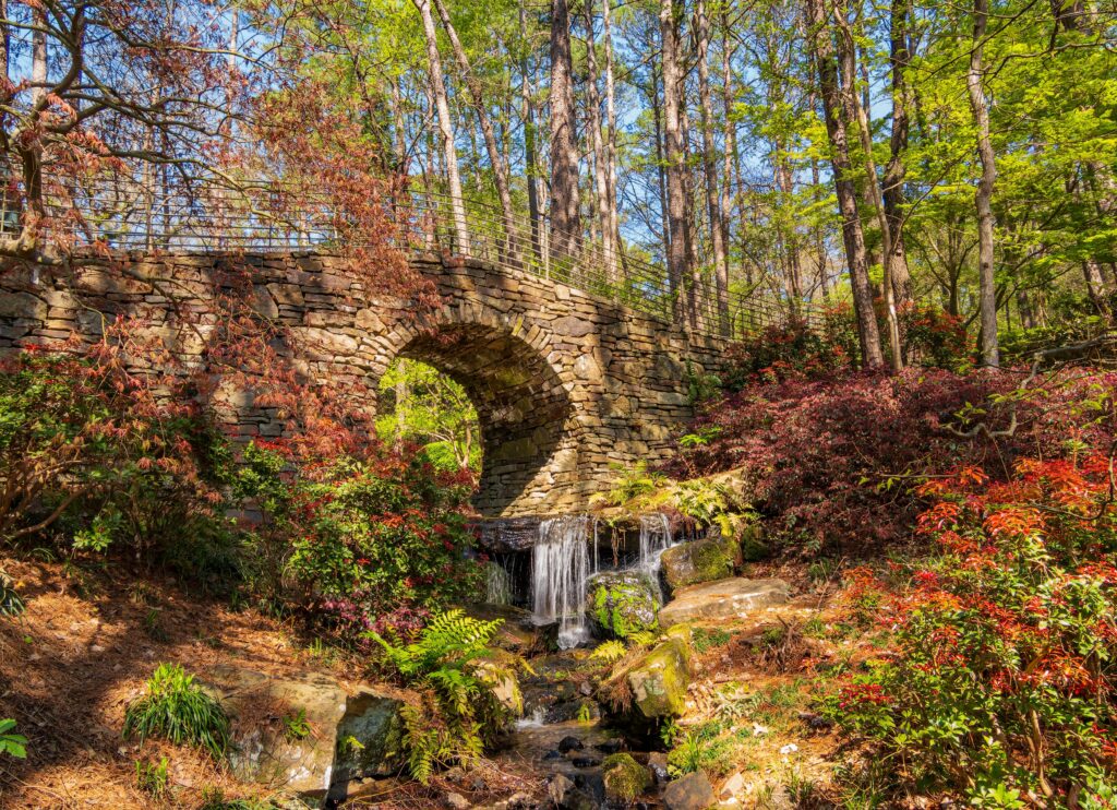 Sunny and beautiful natural landscape around Garvan Woodland Gardens at Arkansas