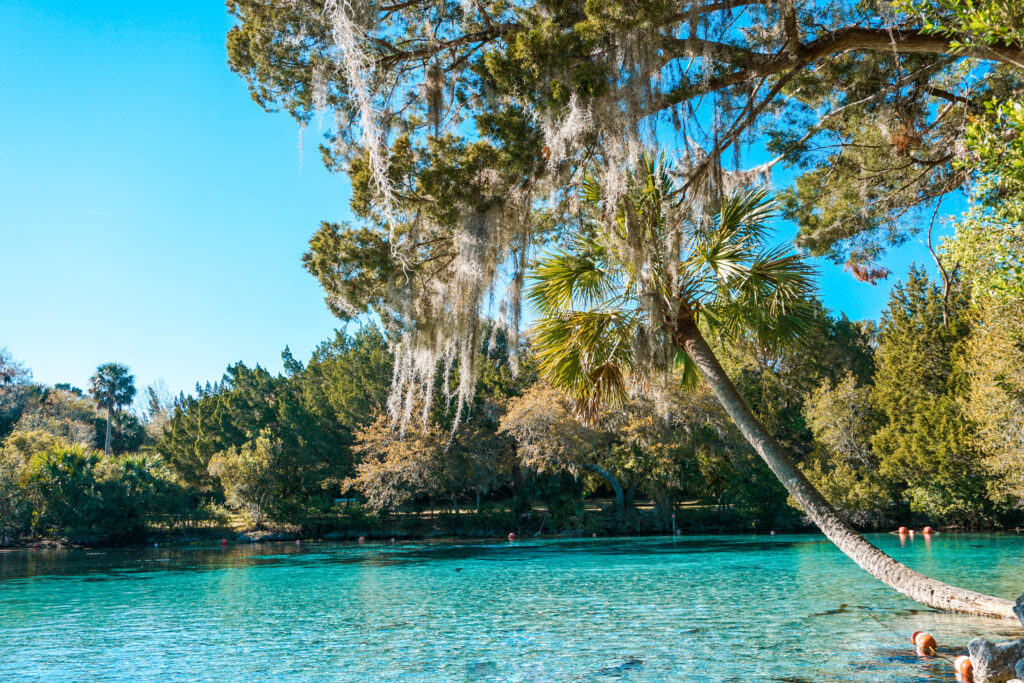 Silver Glen Springs in Florida