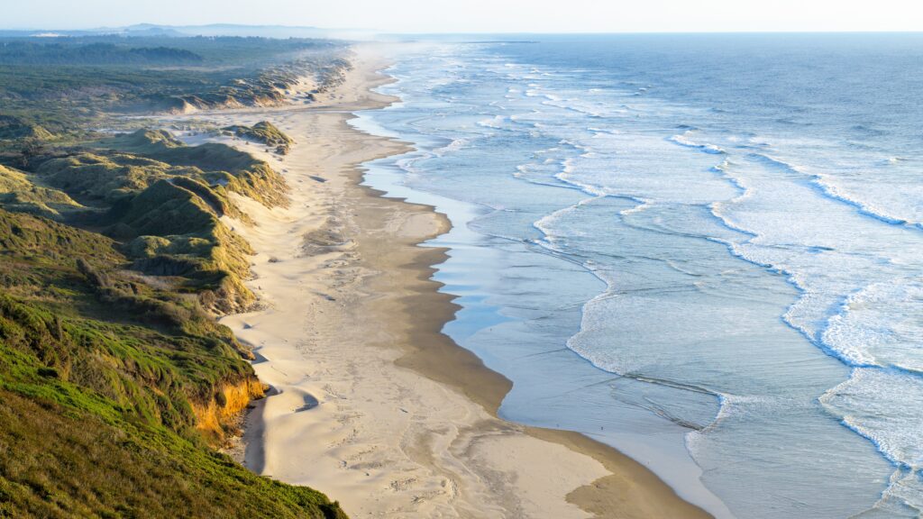 Scenic view along coastline as sand dunes reach the Pacific Ocean at Baker Beach near Florence Oregon