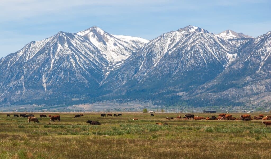 Carson Range Spur of the Sierra Nevada mountains in Nevada