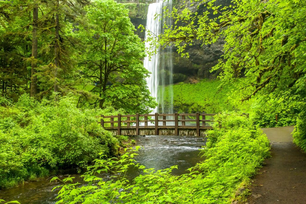 South falls and bridge over Silver creek in Silver Falls State Park. The park is a state park in the U.S. state of Oregon, located near Silverton