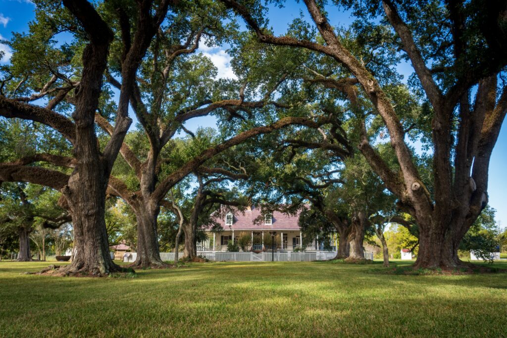 Cane River Creole National Historical Park in Natchez, Natchitoches Parish, Louisiana. Oakland French Creole cotton plantation. Plantation house, raised creole cottage. Live Oak lined avenue.