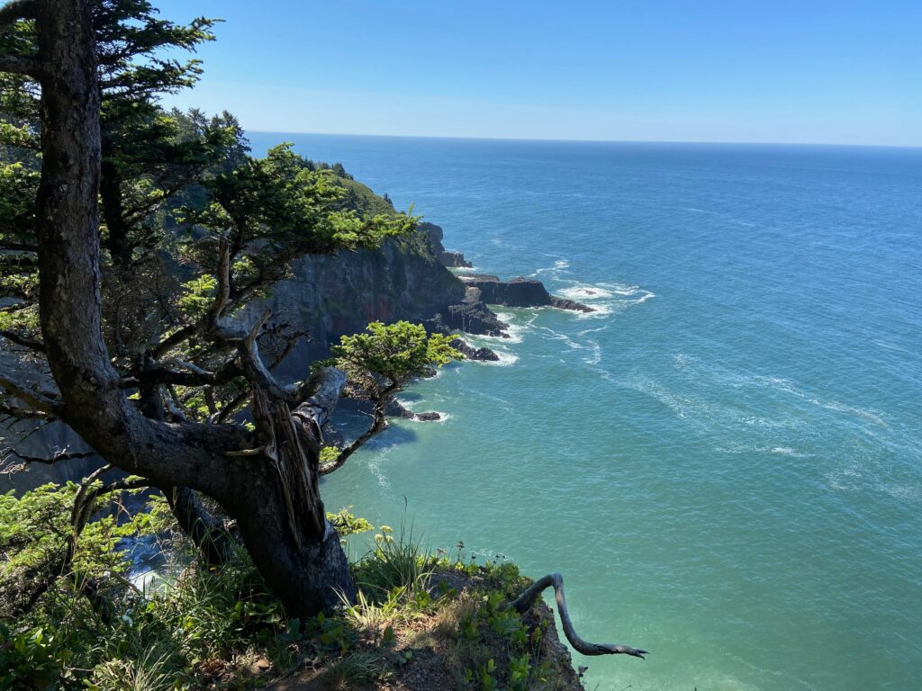 View from a hiking trail at Oswald West State Park