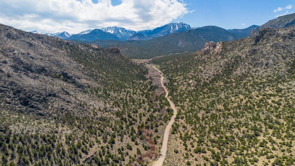 View of Great Basin National Park's Snake Creek Canyon in Nevada, with snow capped mountains in a rocky canyon, dirt road, trees, snow, plants, springtime White Pine County close to Ely Utah Las Vegas