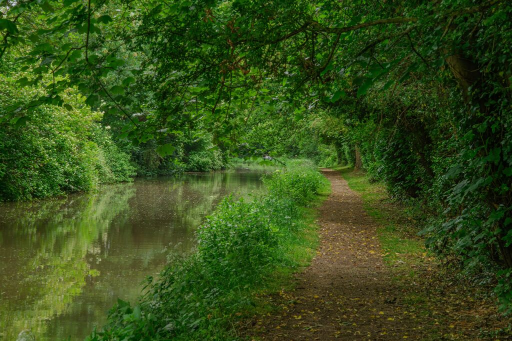 Canalside path in Oxford Canal Kidlington