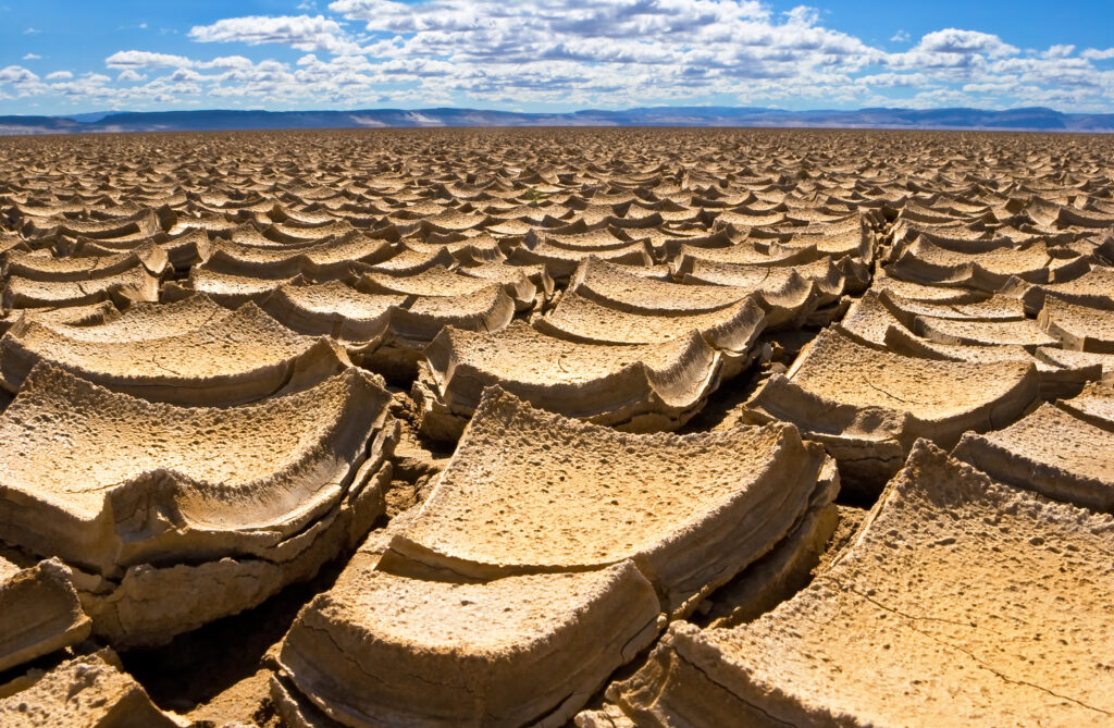 Dried mud on the Alvord Desert