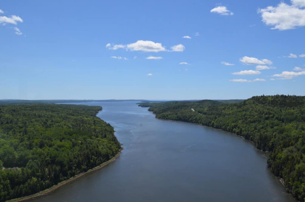The Penobscot Narrows