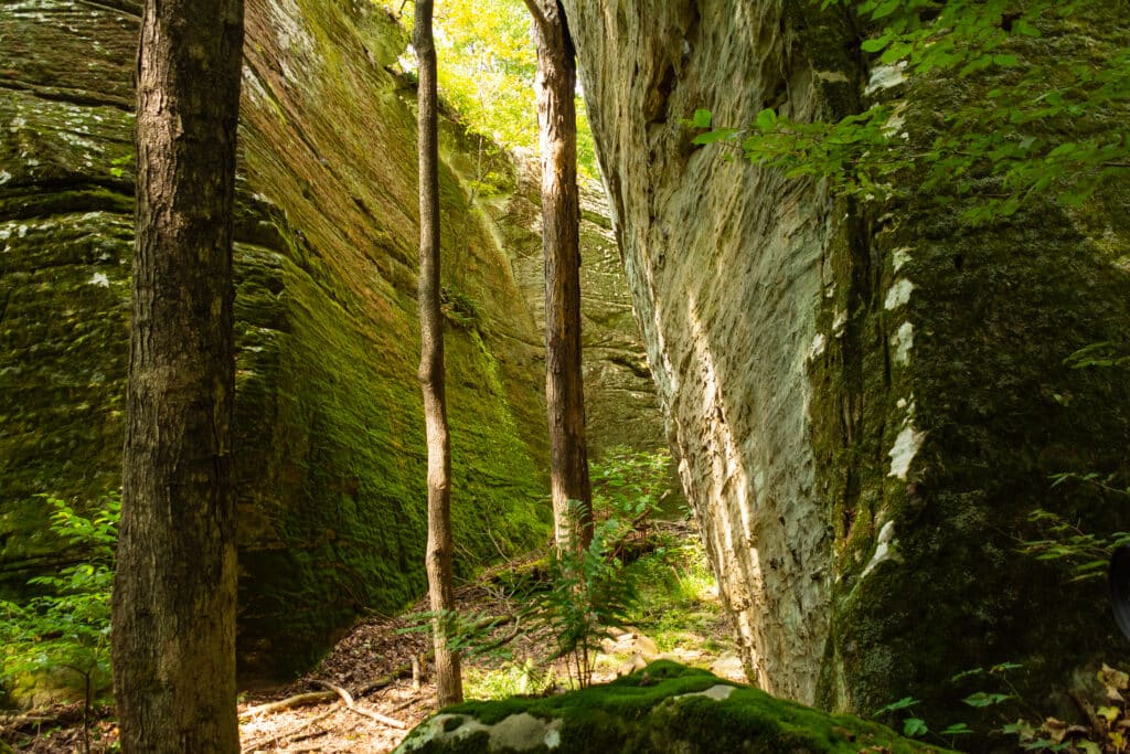 Landscape in Bell Smith Springs on a beautiful Summer morning.  Shawnee National Forest, Illinois, USA