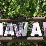 a hawaii sign in the trees