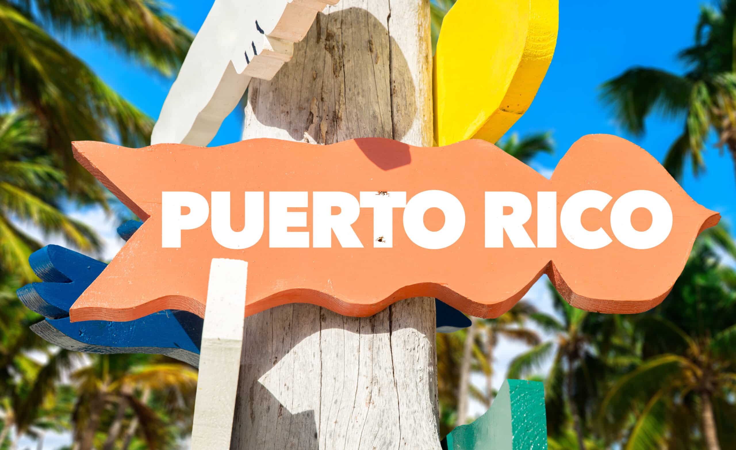 Puerto Rico welcome sign with palm trees