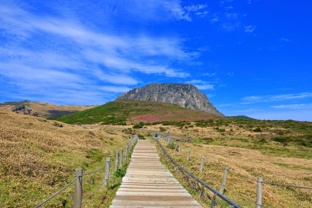 Wooden hiking trail leading toward Hallasan Mountain on Jeju Island