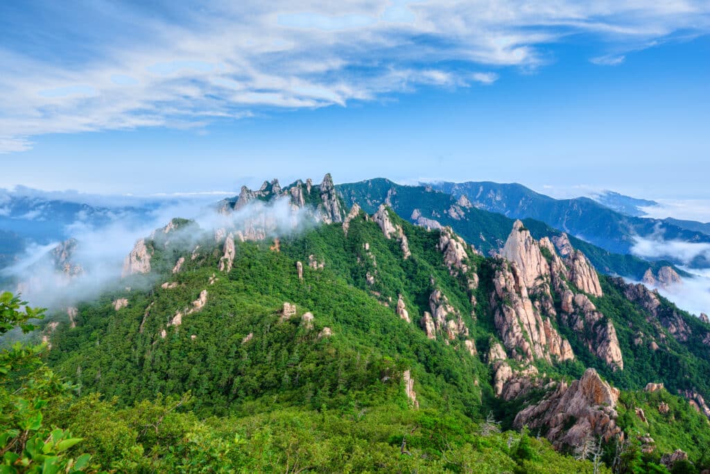 Rocky peaks of Seoraksan National Park surrounded by lush green forest in South Korea