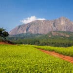 Mulanje Massif (mountain) in Malawi