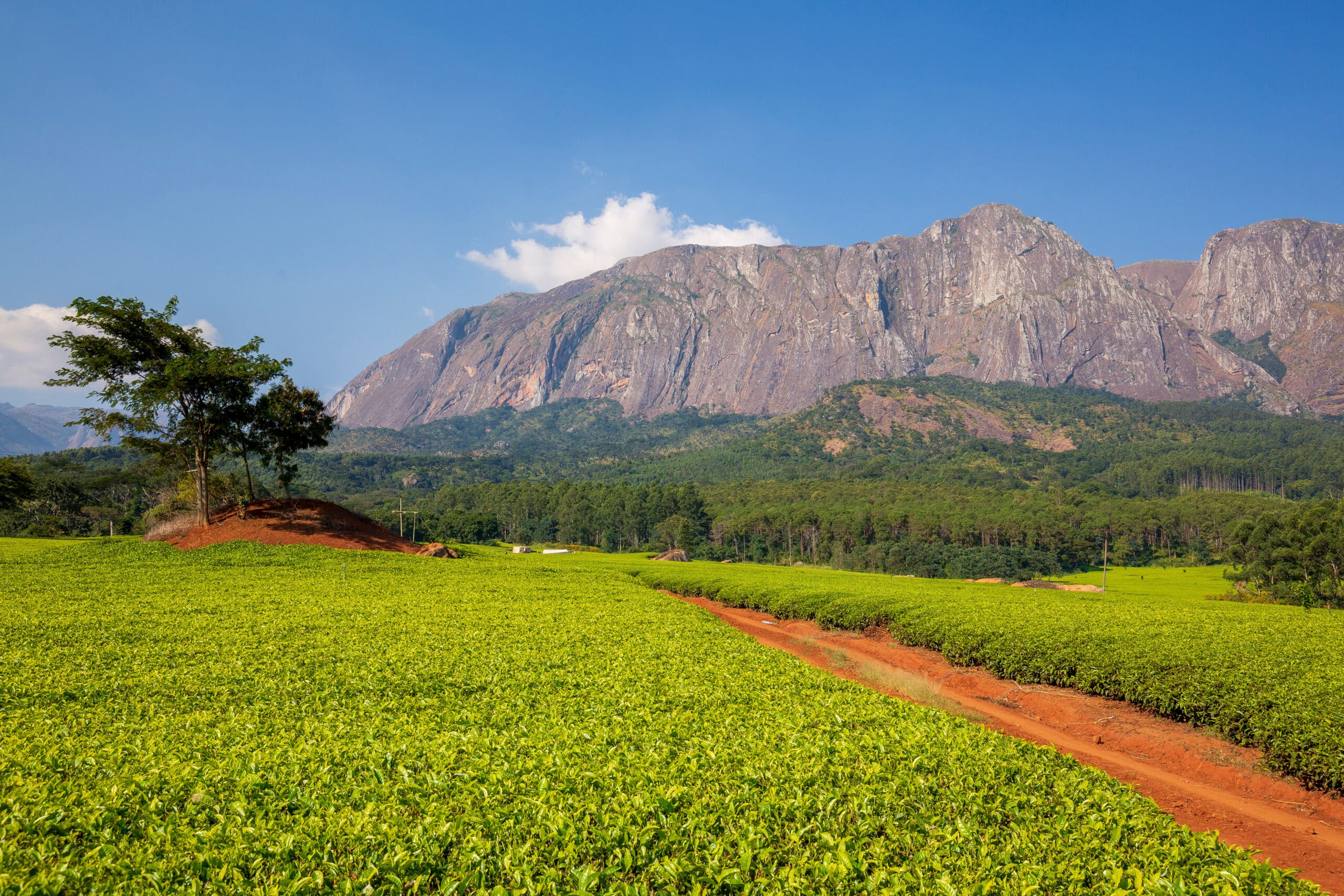 Mulanje Massif (mountain) in Malawi