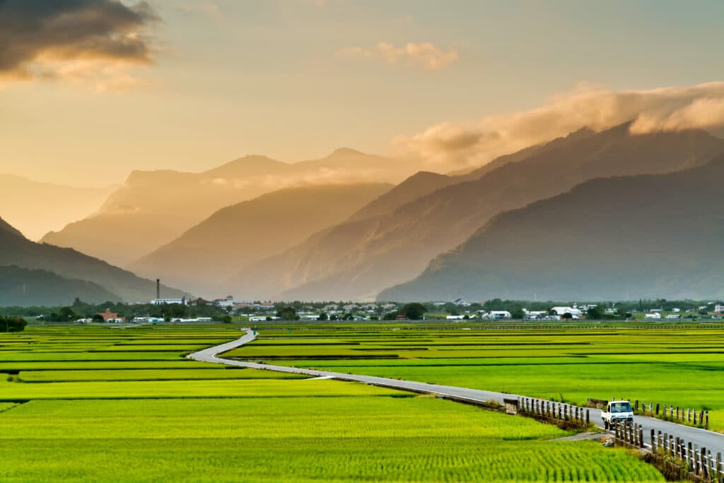 Landscape View Of Rice Fields At Chishang, Taitung, Taiwan.