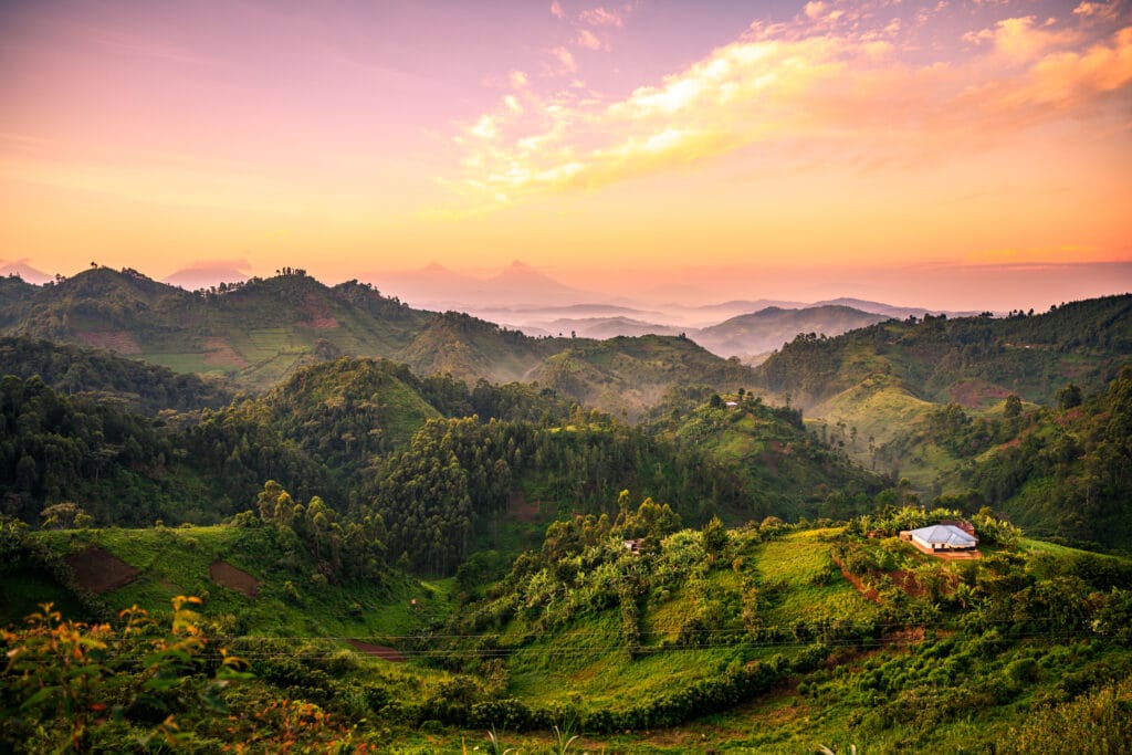 Bwindi national park Uganda Africs