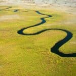 Okavango Delta Landscape - flight over the delta - Botswana