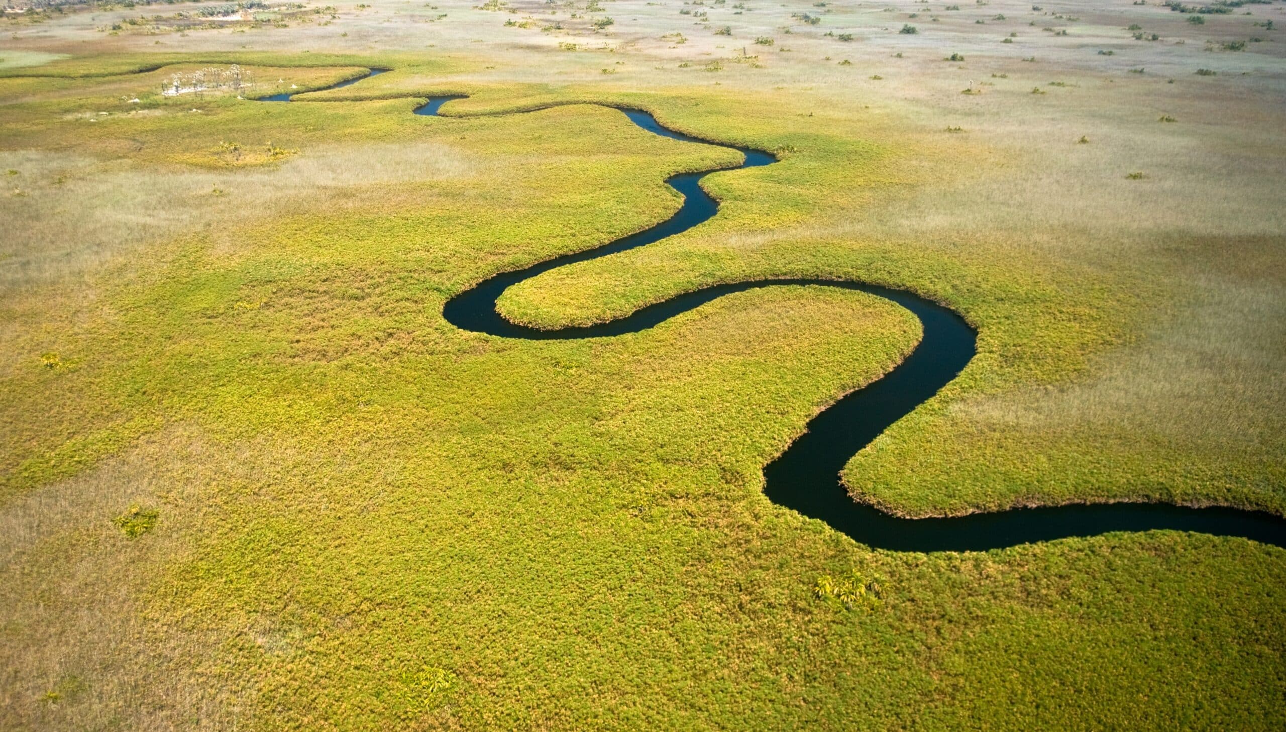 Okavango Delta Landscape - flight over the delta - Botswana