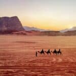 Jordan, Wadi Rum. Caravan of camels with drovers in the desert, rock mountains at sunset.